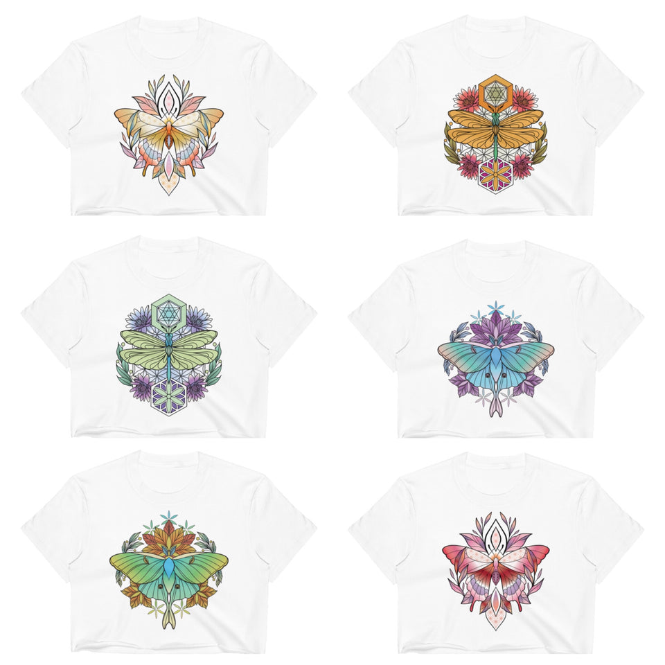 Original Artwork By Abby Muench