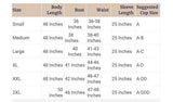 (S)-Fairy Jacket-7